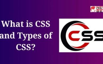 What is CSS and Types of CSS