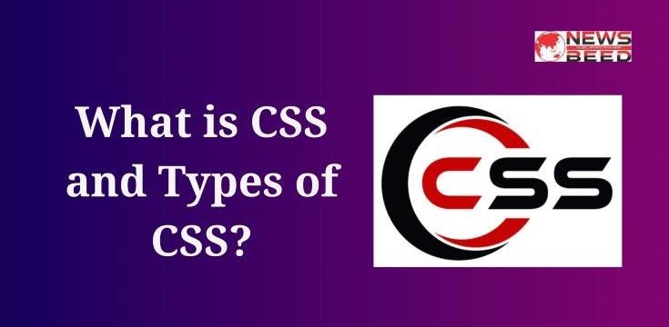 What is CSS and Types of CSS