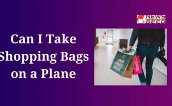 Can I Take Shopping Bags on a Plane