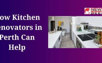 How Kitchen Renovators in Perth Can Help