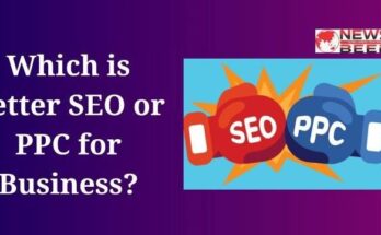 Which is Better SEO or PPC for Business