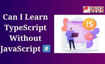 Can I Learn Typescript Without JavaScript