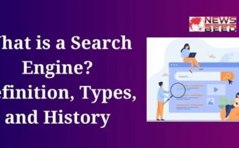 What is a Search Engine