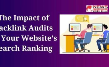 The Impact of Backlink Audits on Your Website's Search Ranking