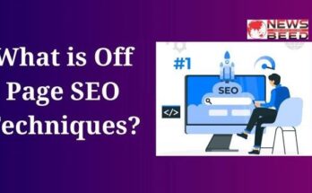 What is Off Page SEO Techniques