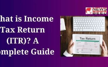 What is Income Tax Return