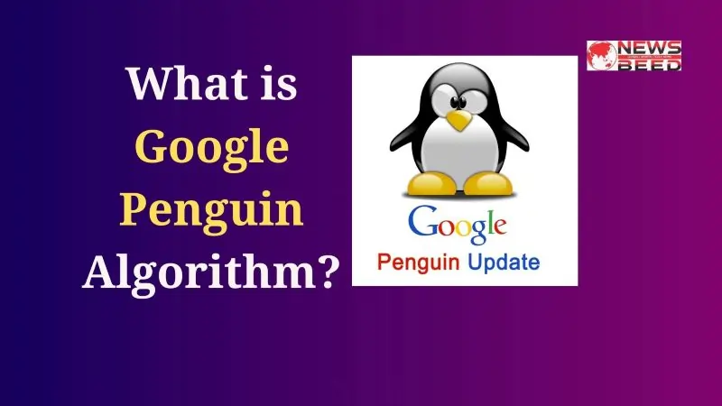 What is Google Penguin Algorithm? A Complete Guide